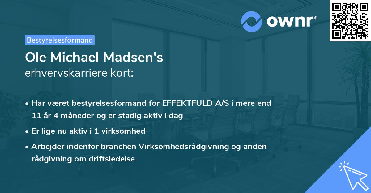 Ole Michael Madsen's erhvervskarriere kort