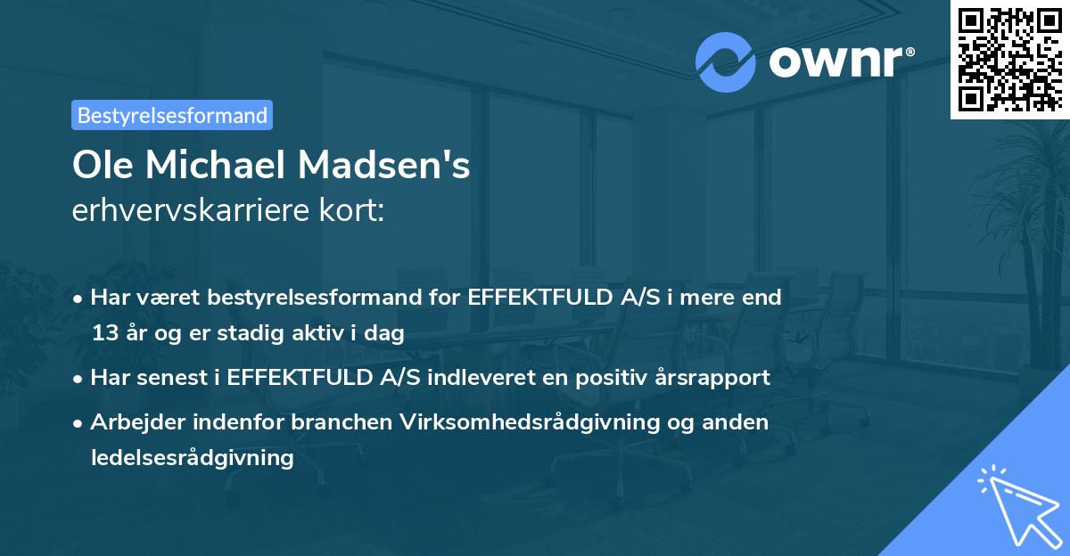 Ole Michael Madsen's erhvervskarriere kort