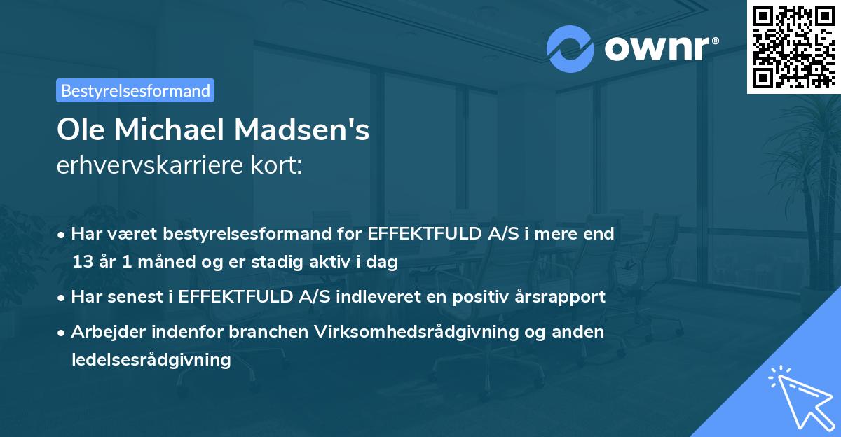 Ole Michael Madsen's erhvervskarriere kort