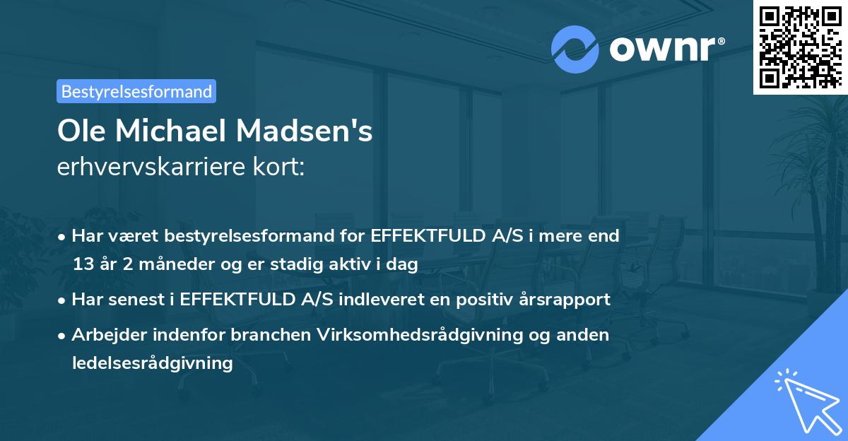 Ole Michael Madsen's erhvervskarriere kort