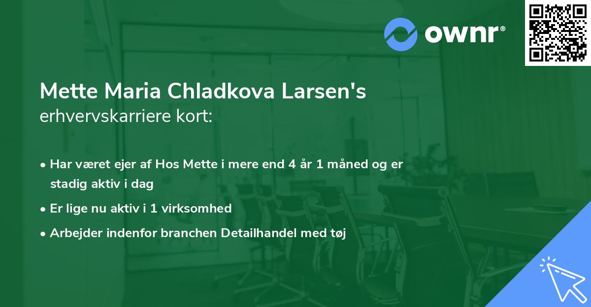 Mette Maria Chladkova Larsen's erhvervskarriere kort
