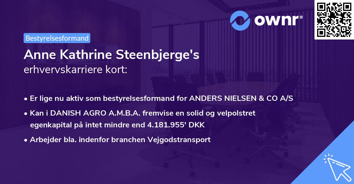 Anne Kathrine Steenbjerge's erhvervskarriere kort