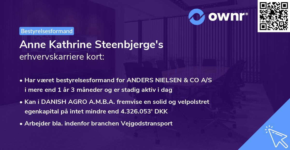 Anne Kathrine Steenbjerge's erhvervskarriere kort