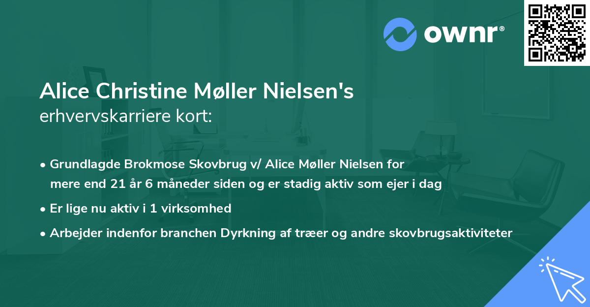 Alice Christine Møller Nielsen's erhvervskarriere kort