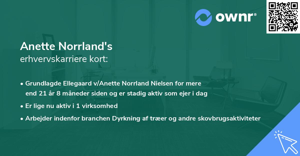 Anette Norrland's erhvervskarriere kort