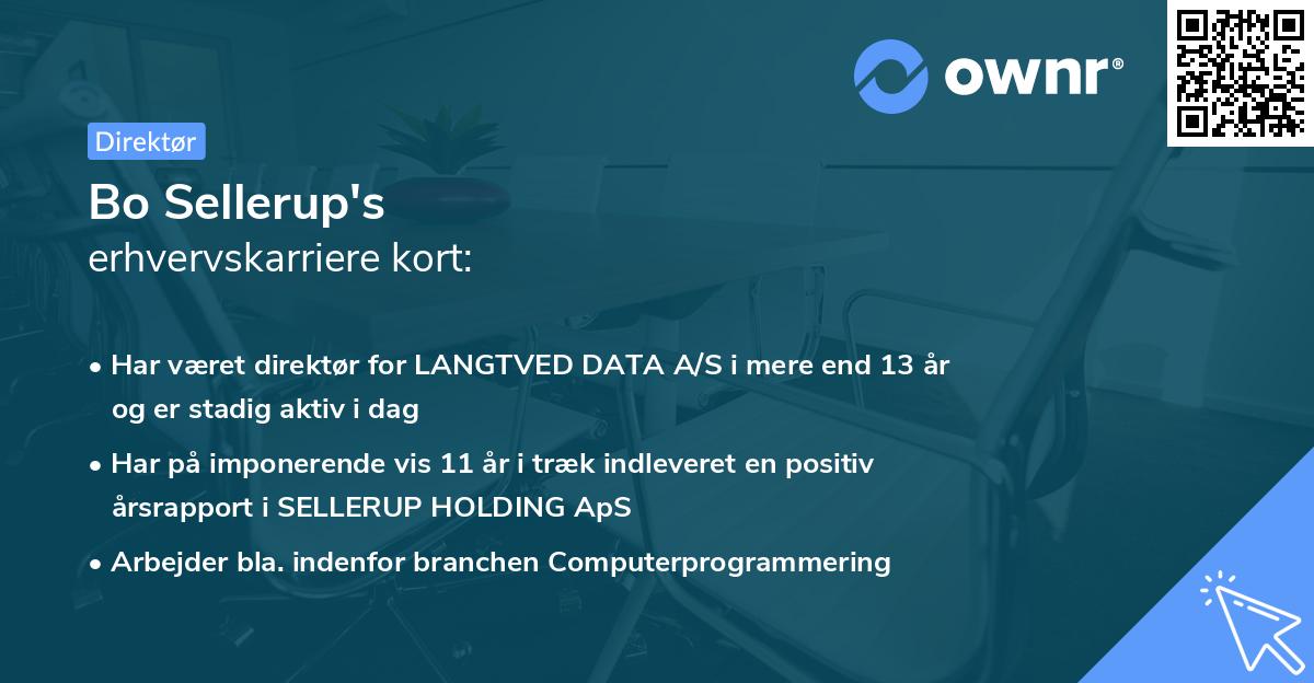 Bo Sellerup's erhvervskarriere kort