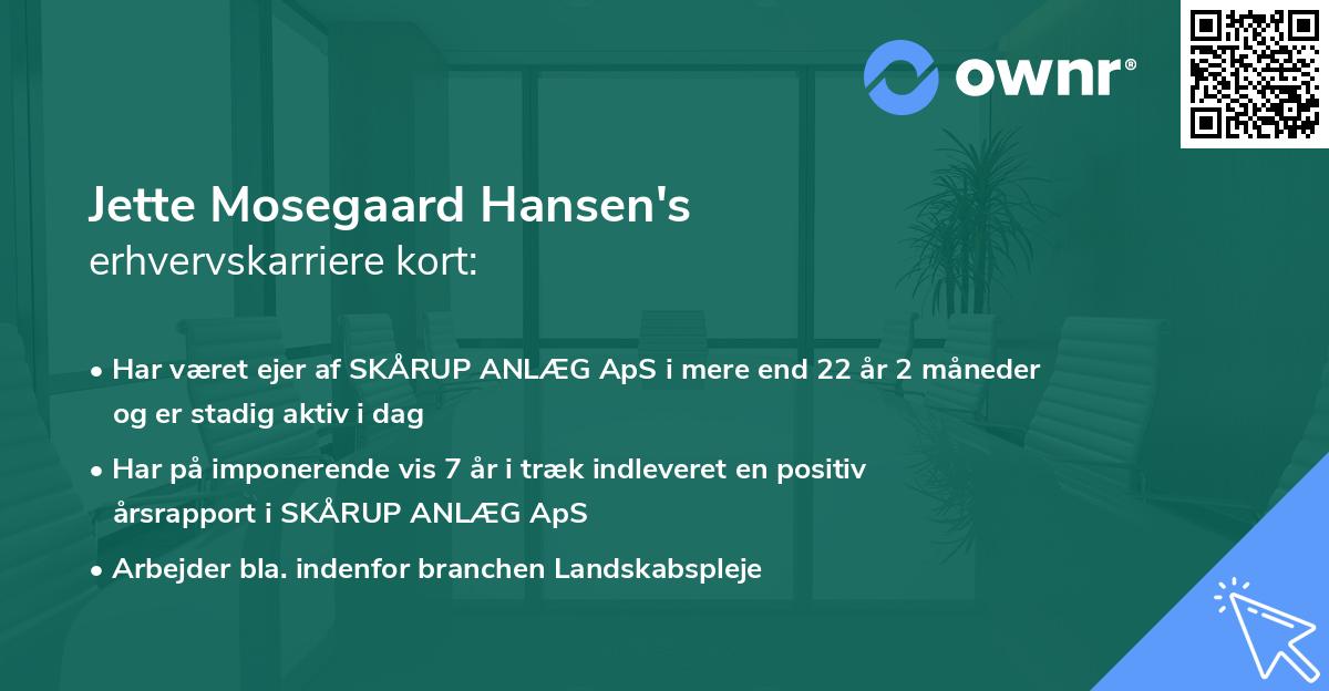 Jette Mosegaard Hansen's erhvervskarriere kort