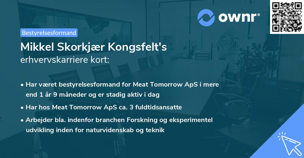 Mikkel Skorkjær Kongsfelt's erhvervskarriere kort