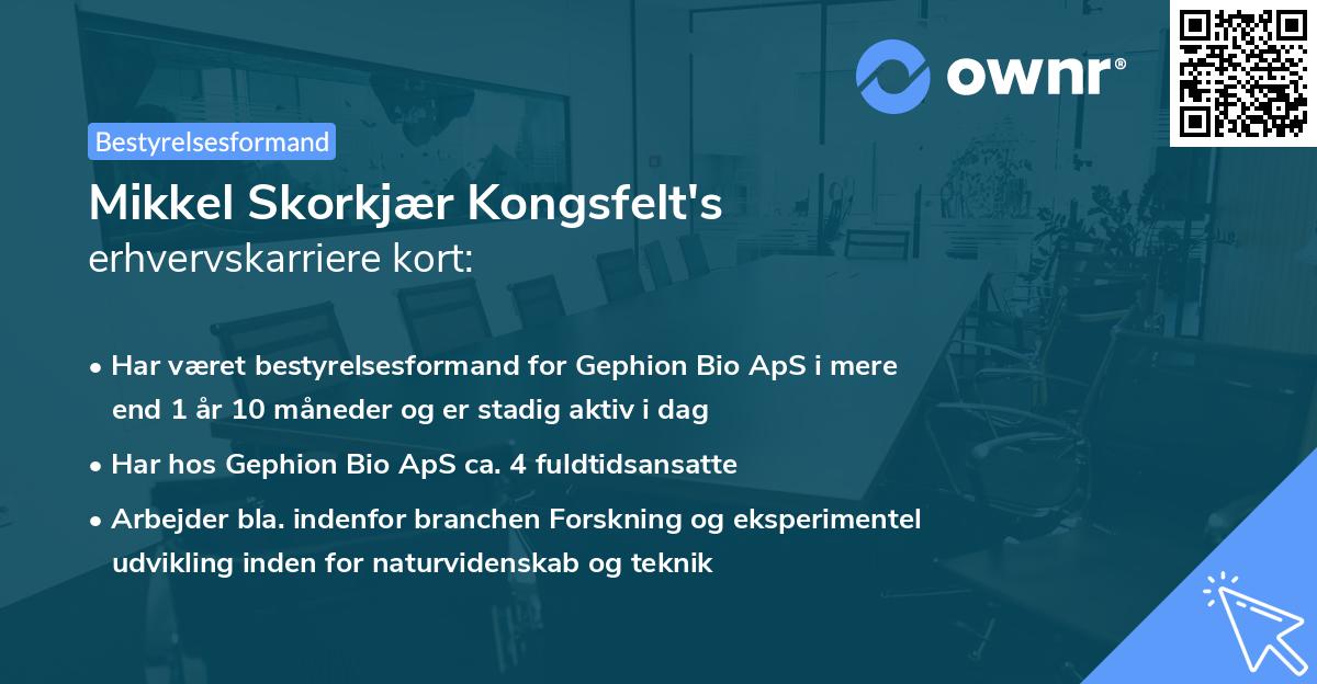 Mikkel Skorkjær Kongsfelt's erhvervskarriere kort