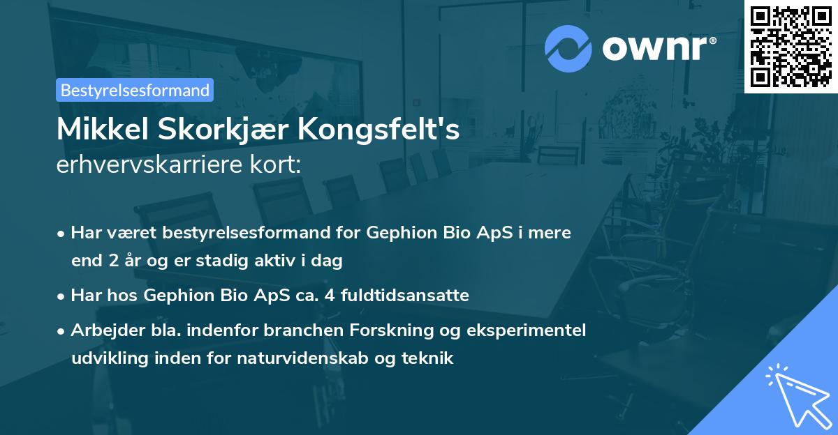 Mikkel Skorkjær Kongsfelt's erhvervskarriere kort