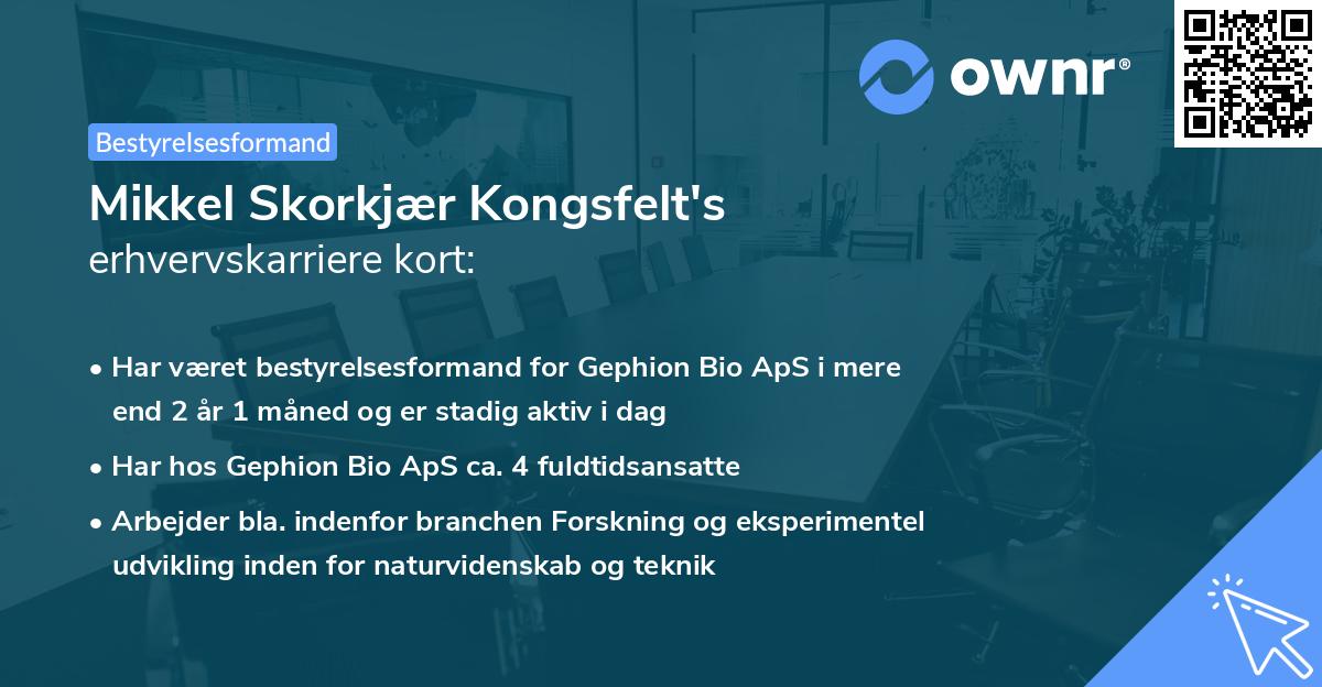 Mikkel Skorkjær Kongsfelt's erhvervskarriere kort