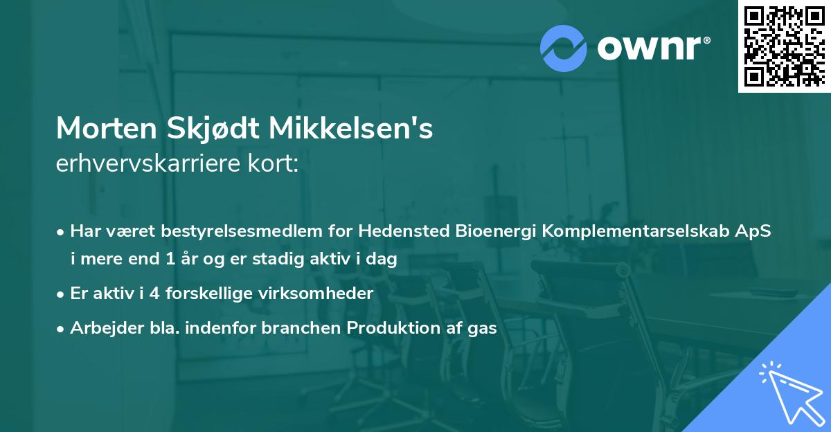 Morten Skjødt Mikkelsen's erhvervskarriere kort