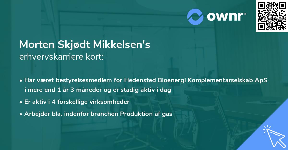 Morten Skjødt Mikkelsen's erhvervskarriere kort