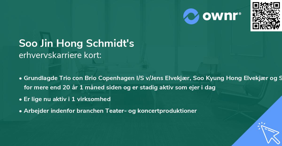 Soo Jin Hong Schmidt's erhvervskarriere kort