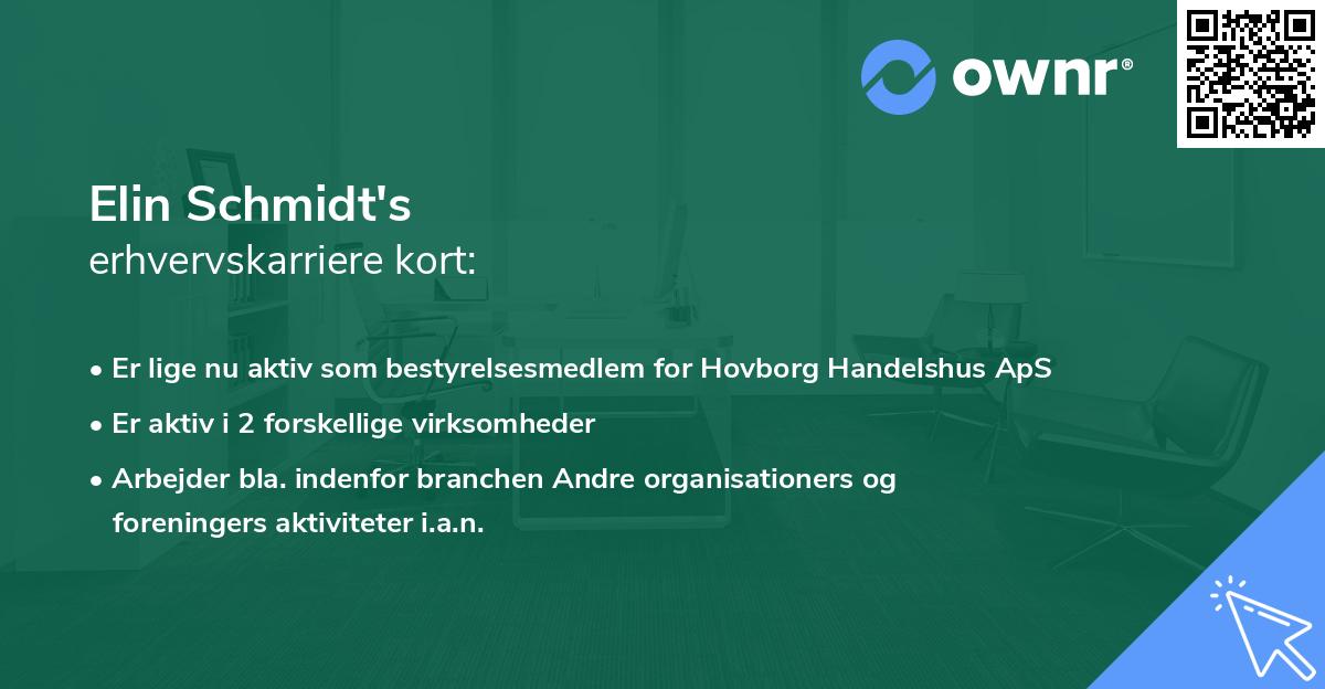 Elin Schmidt's erhvervskarriere kort