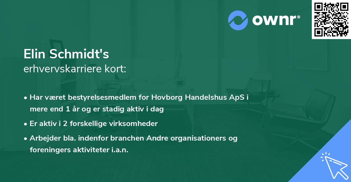 Elin Schmidt's erhvervskarriere kort