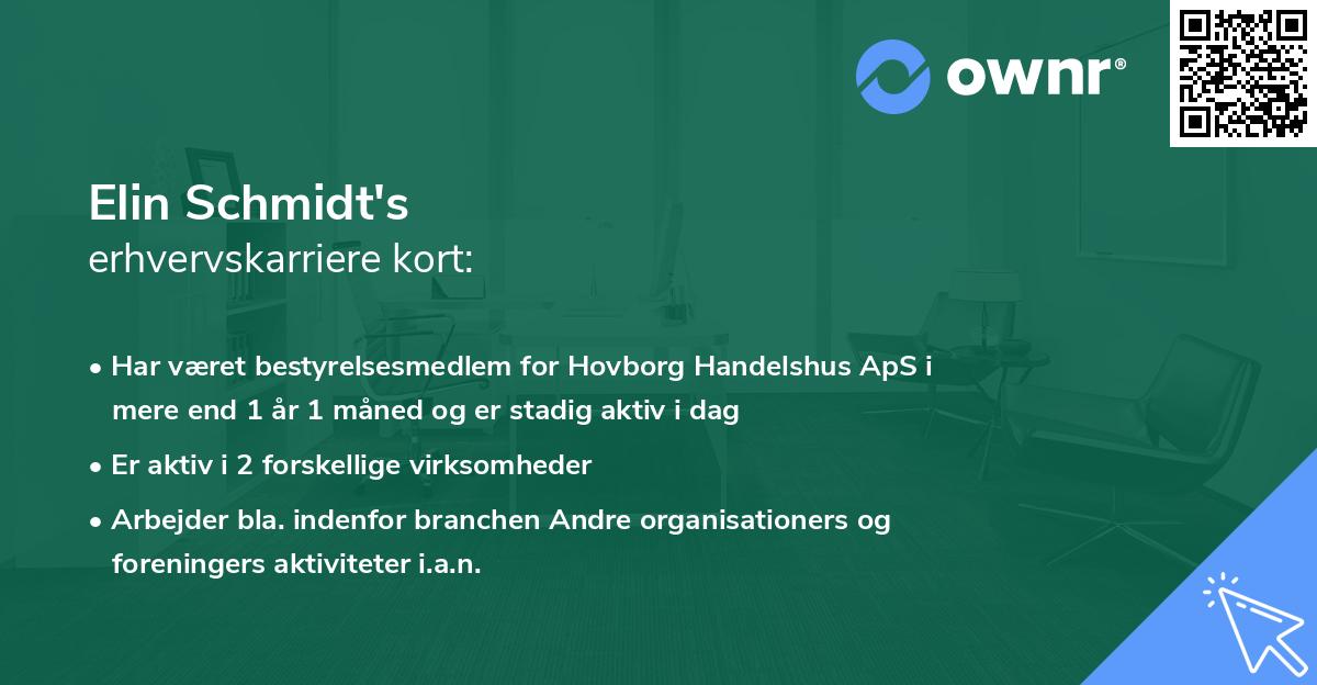 Elin Schmidt's erhvervskarriere kort