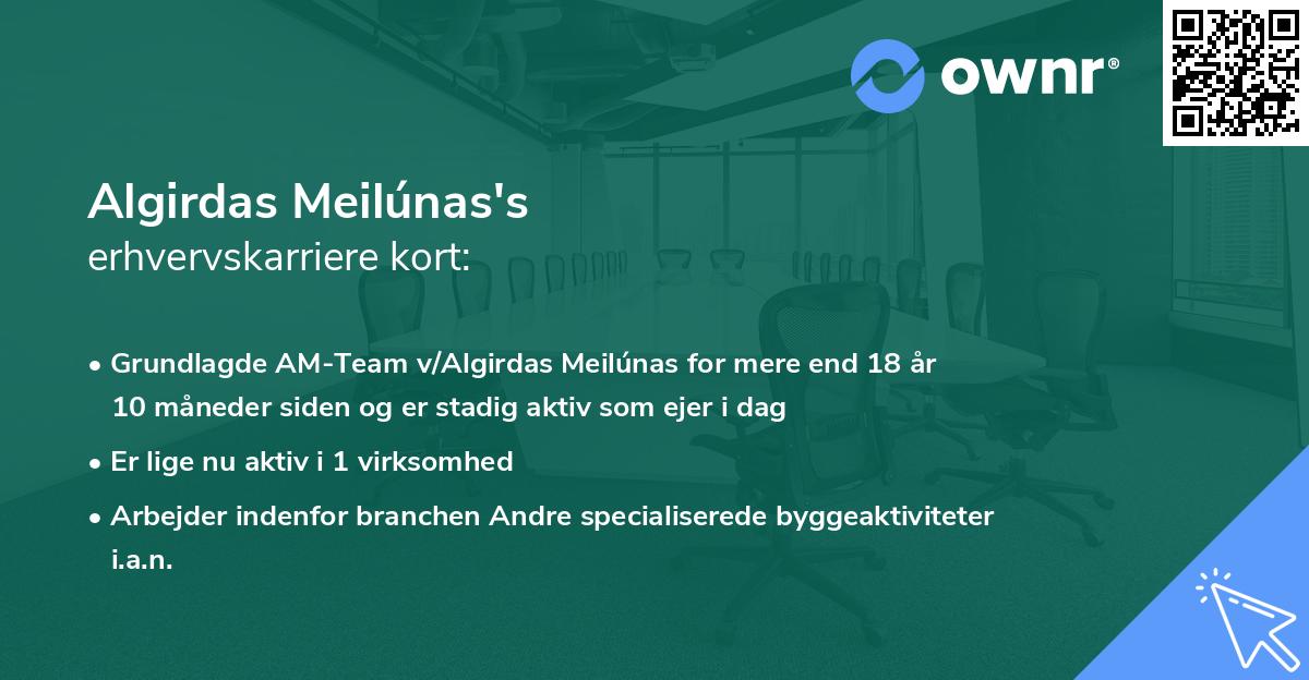 Algirdas Meilúnas's erhvervskarriere kort