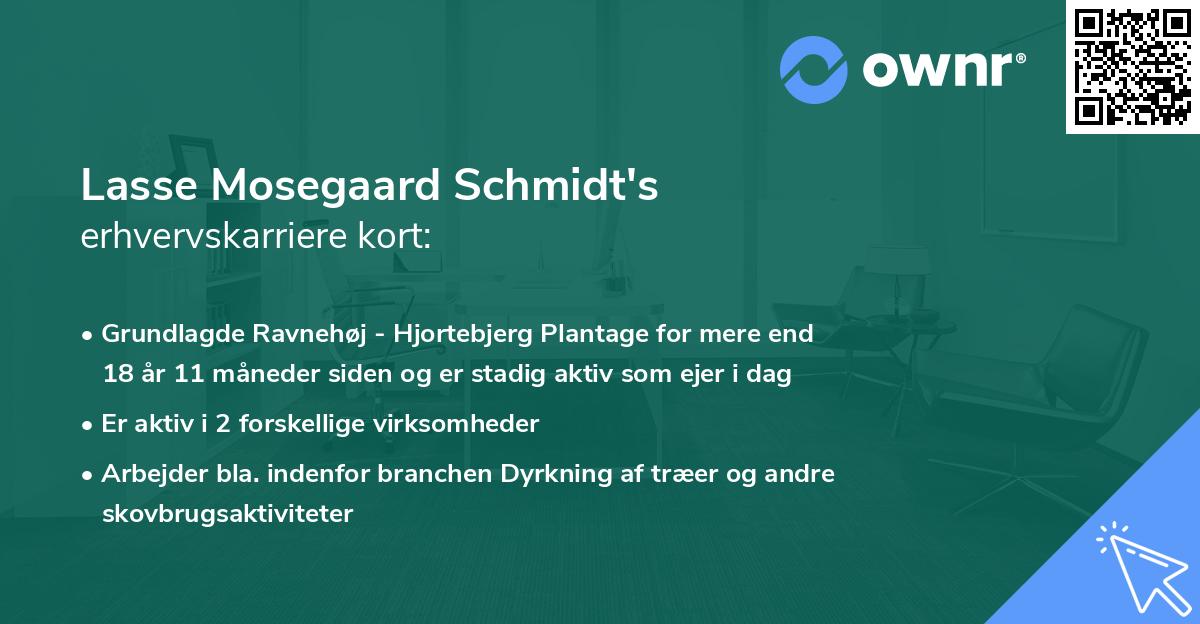 Lasse Mosegaard Schmidt's erhvervskarriere kort