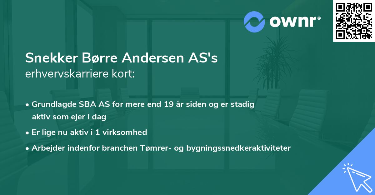 Snekker Børre Andersen AS's erhvervskarriere kort