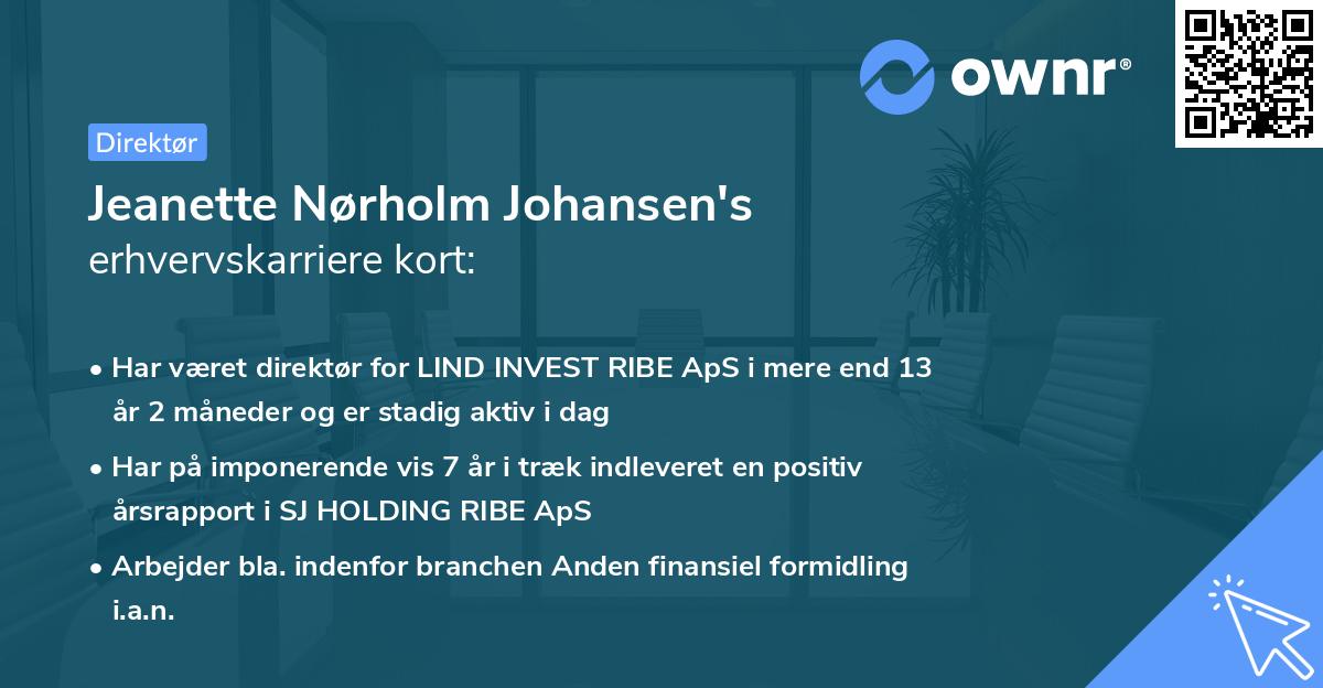 Jeanette Nørholm Johansen's erhvervskarriere kort
