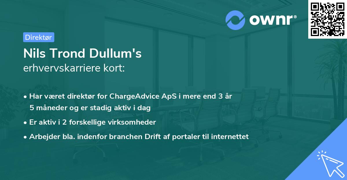 Nils Trond Dullum's erhvervskarriere kort