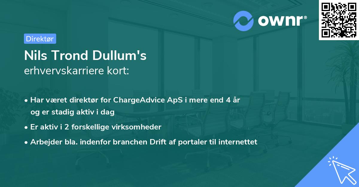 Nils Trond Dullum's erhvervskarriere kort