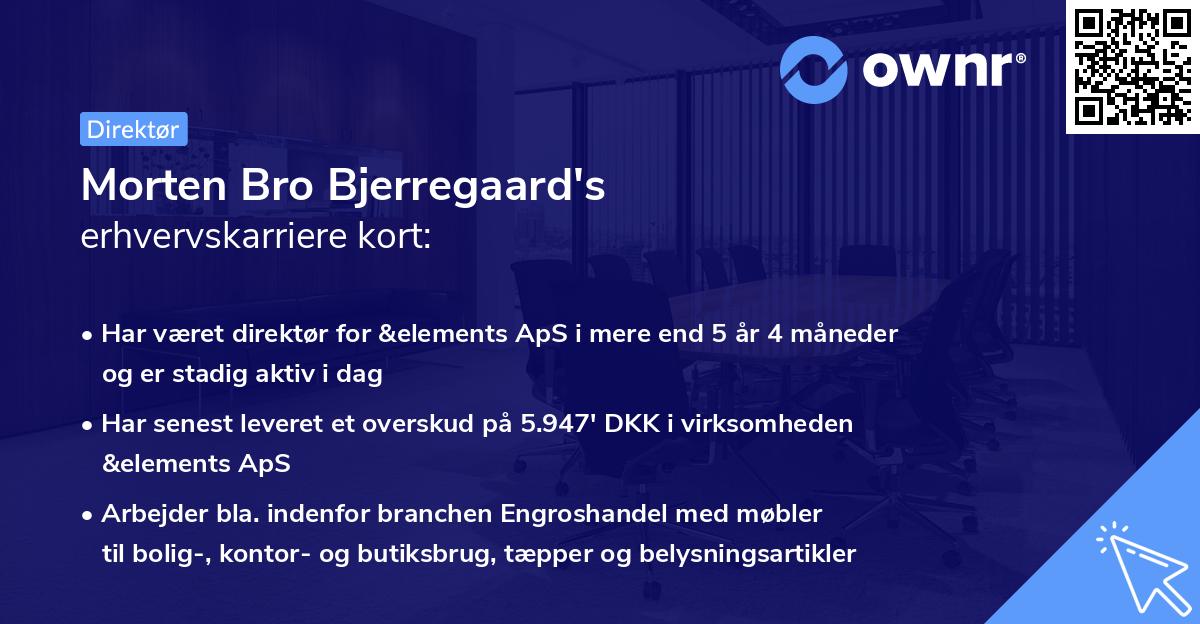 Morten Bro Bjerregaard's erhvervskarriere kort