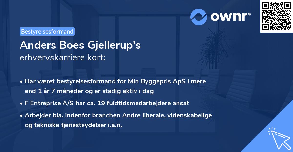 Anders Boes Gjellerup's erhvervskarriere kort