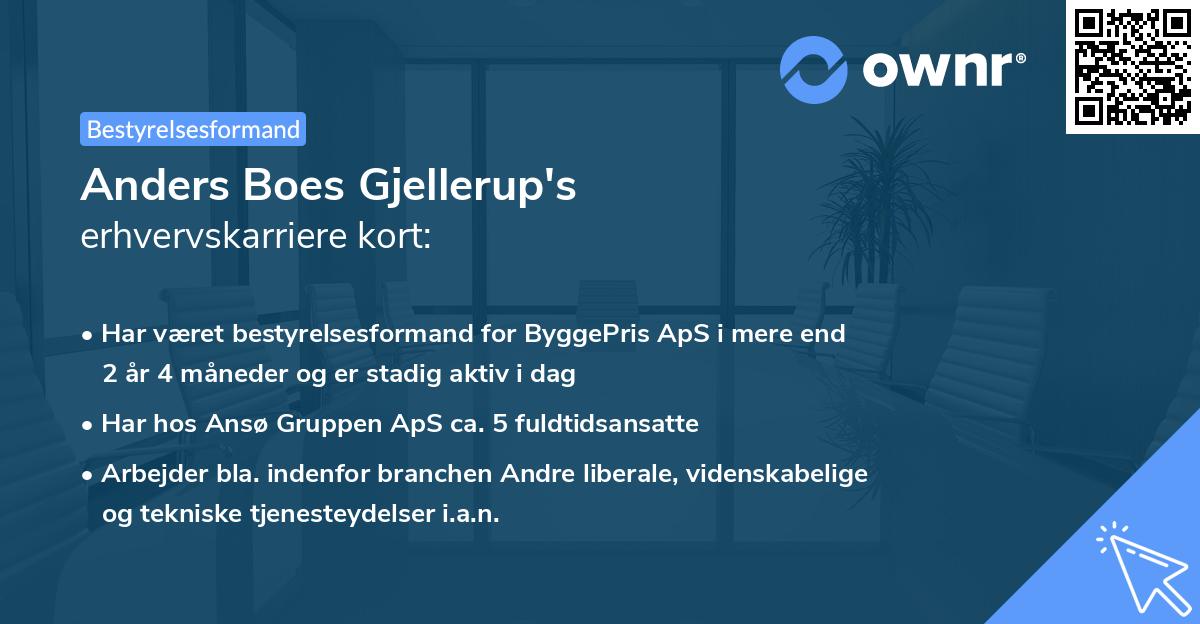 Anders Boes Gjellerup's erhvervskarriere kort