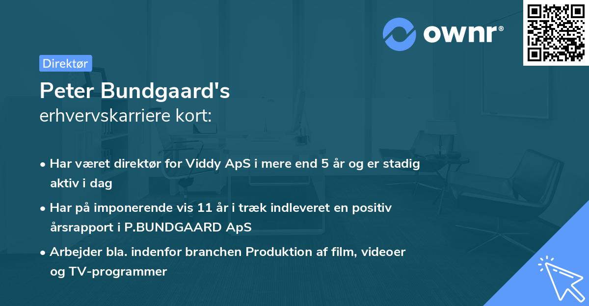 Peter Bundgaard's erhvervskarriere kort