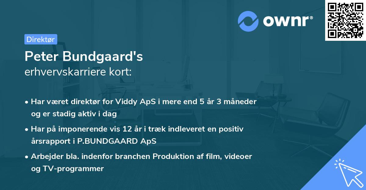 Peter Bundgaard's erhvervskarriere kort