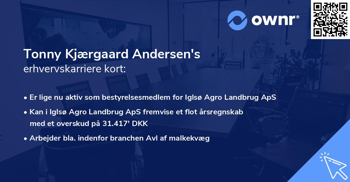 Tonny Kjærgaard Andersen's erhvervskarriere kort