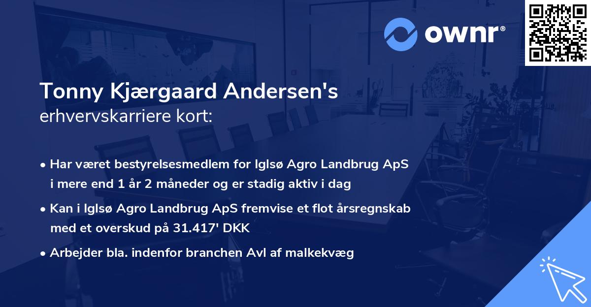 Tonny Kjærgaard Andersen's erhvervskarriere kort