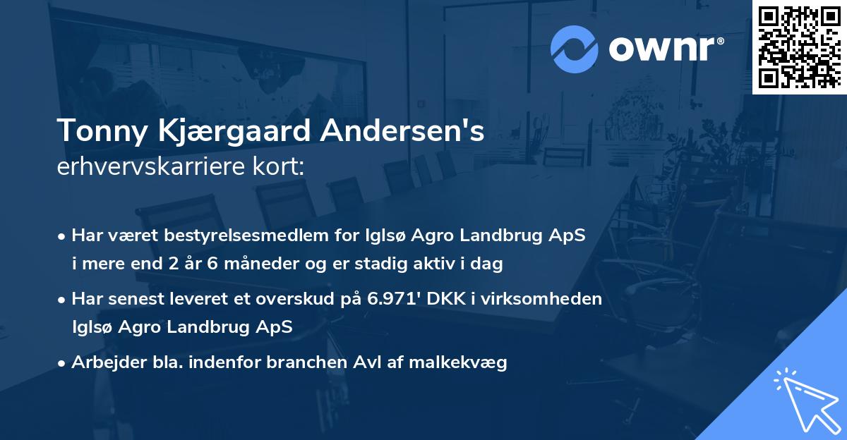 Tonny Kjærgaard Andersen's erhvervskarriere kort