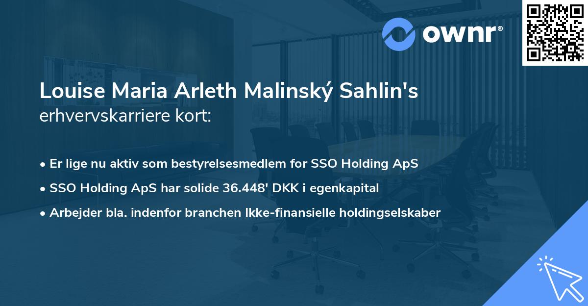 Louise Maria Arleth Malinský Sahlin's erhvervskarriere kort