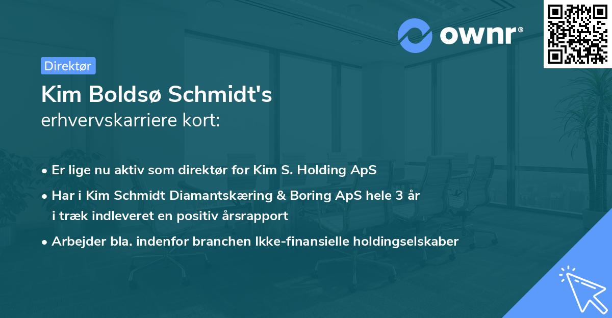 Kim Boldsø Schmidt's erhvervskarriere kort