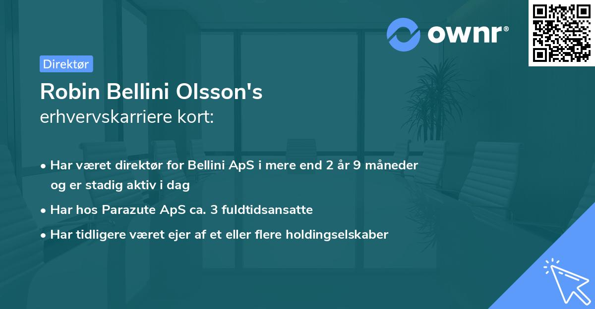 Robin Bellini Olsson's erhvervskarriere kort