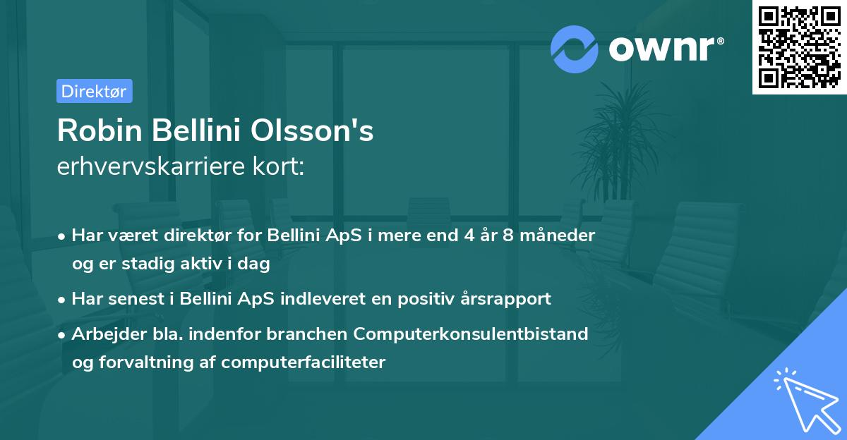 Robin Bellini Olsson's erhvervskarriere kort