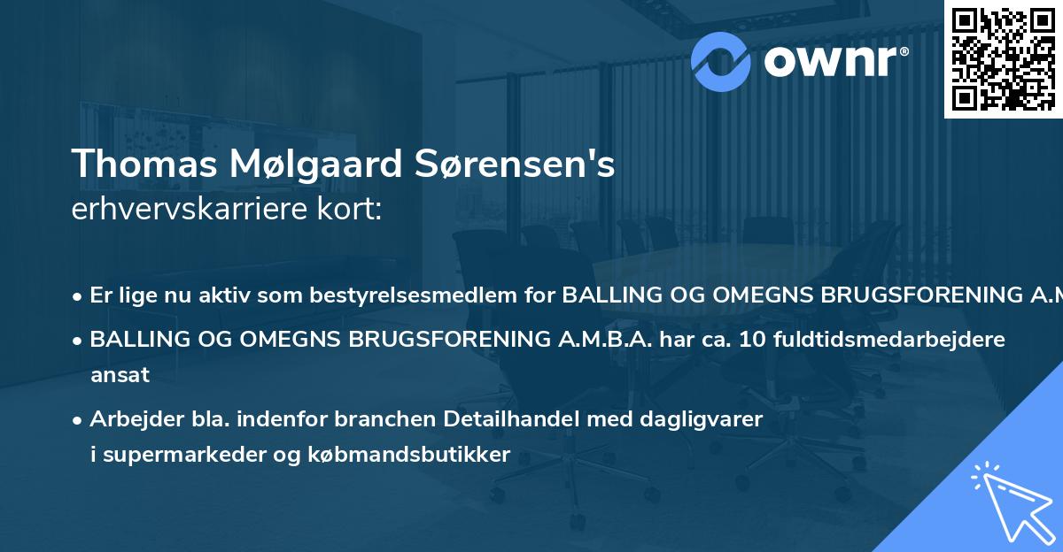 Thomas Mølgaard Sørensen's erhvervskarriere kort