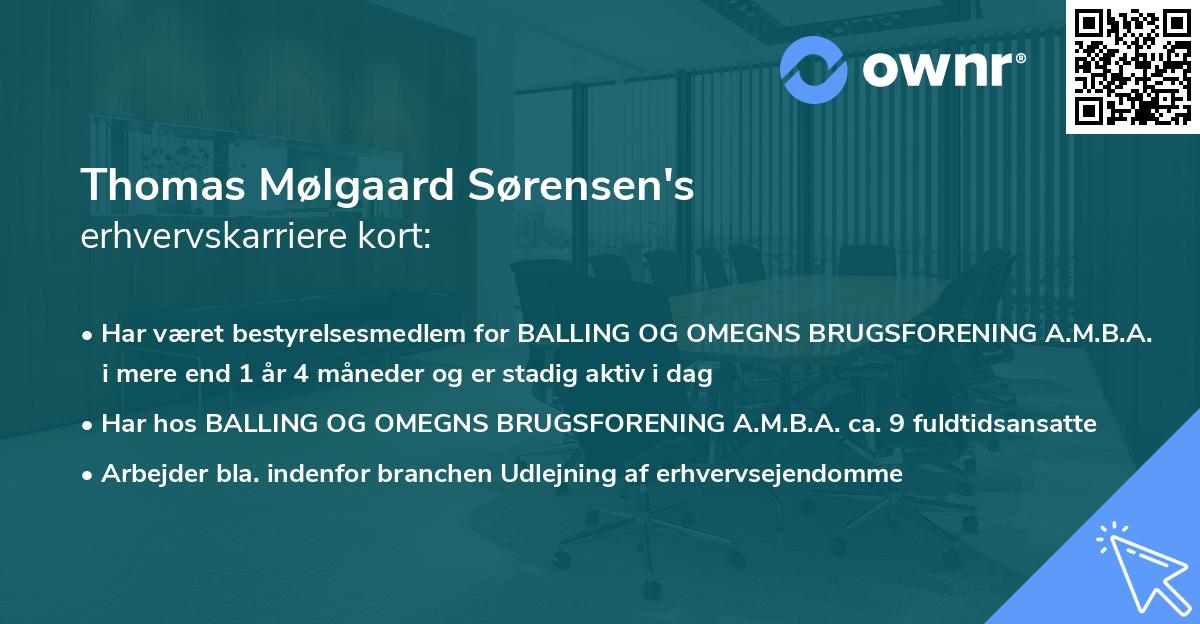 Thomas Mølgaard Sørensen's erhvervskarriere kort