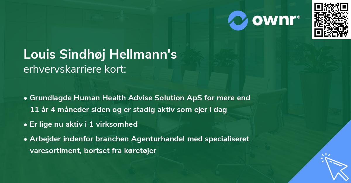 Louis Sindhøj Hellmann's erhvervskarriere kort