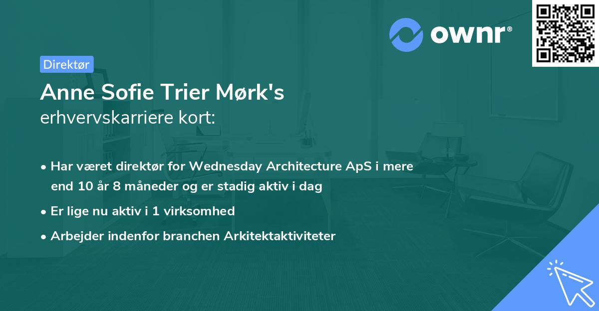 Anne Sofie Trier Mørk's erhvervskarriere kort