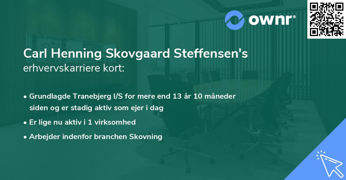 Carl Henning Skovgaard Steffensen's erhvervskarriere kort