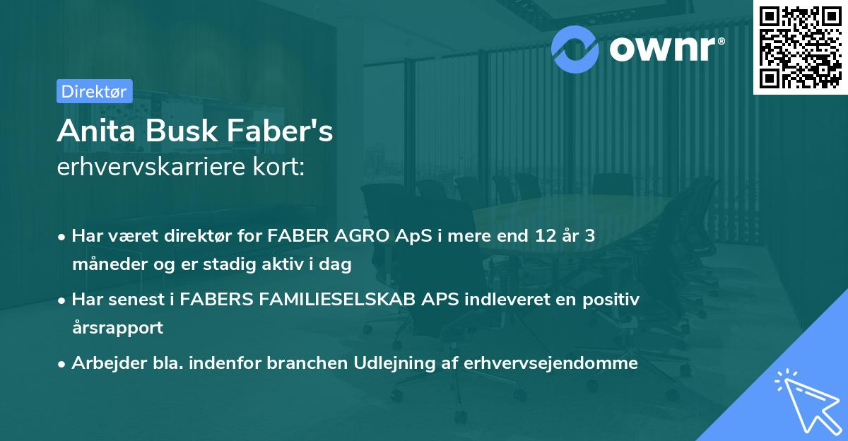 Anita Busk Faber's erhvervskarriere kort