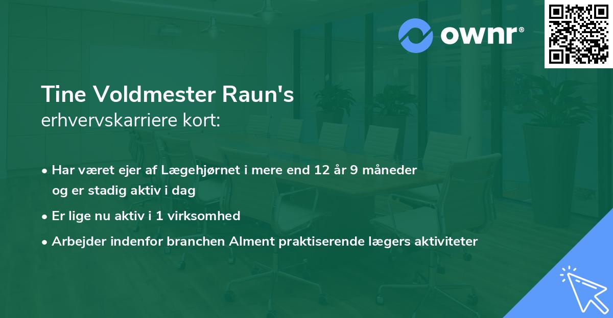 Tine Voldmester Raun's erhvervskarriere kort