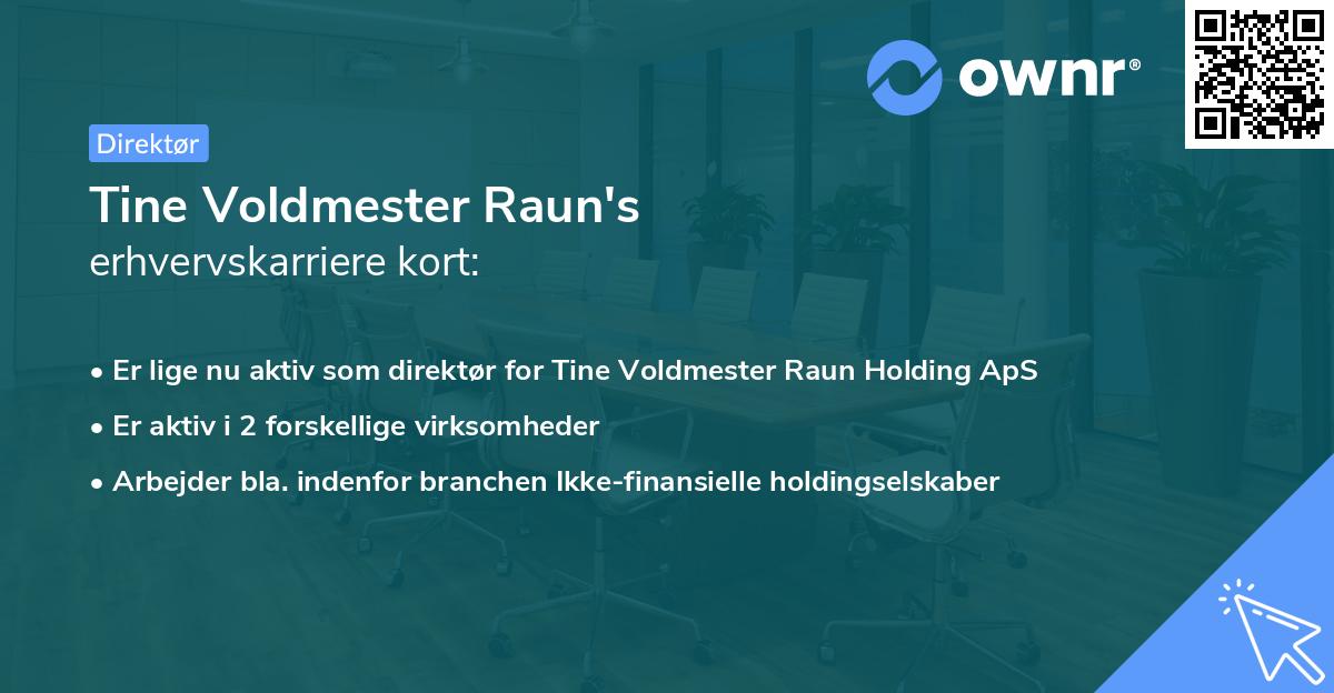 Tine Voldmester Raun's erhvervskarriere kort