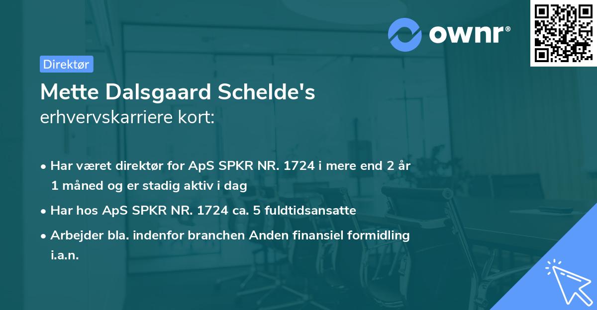 Mette Dalsgaard Schelde's erhvervskarriere kort