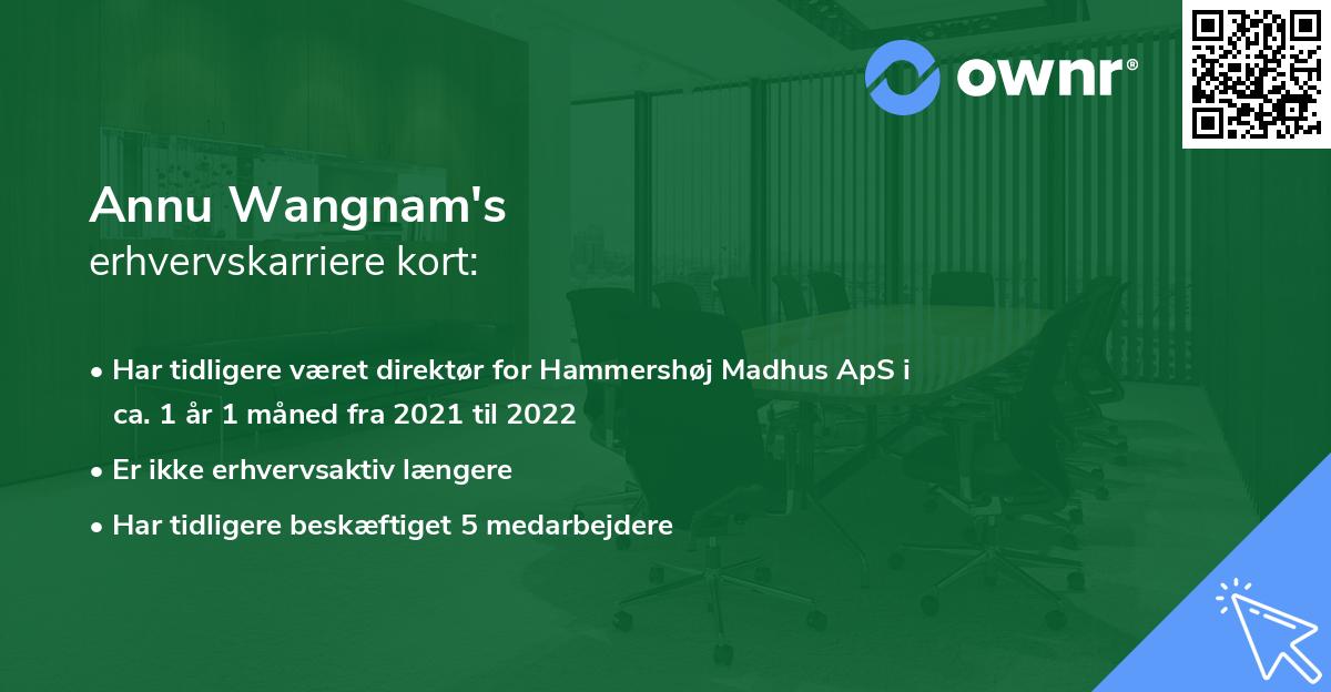 Annu Wangnam's erhvervskarriere kort