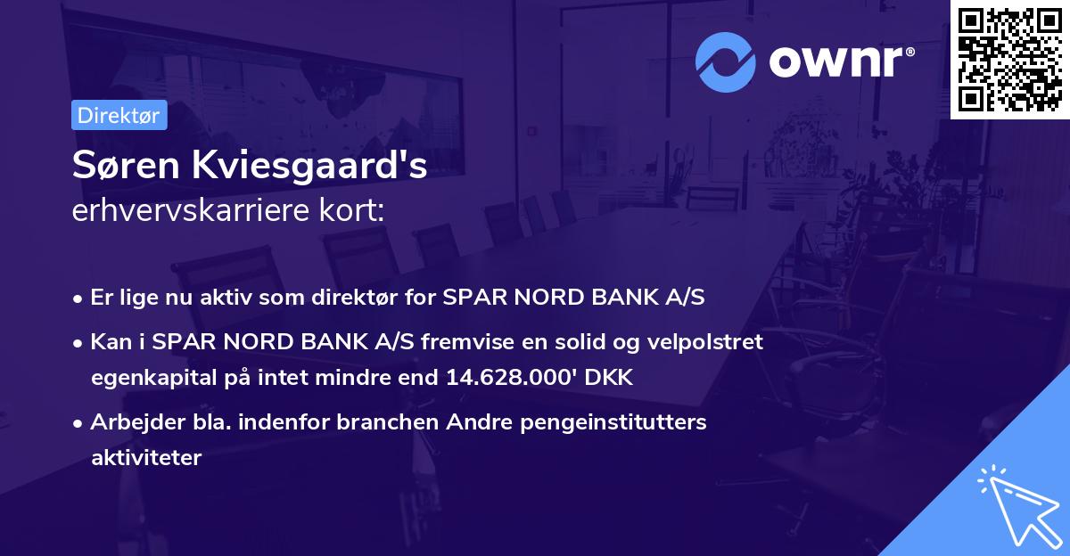 Søren Kviesgaard's erhvervskarriere kort